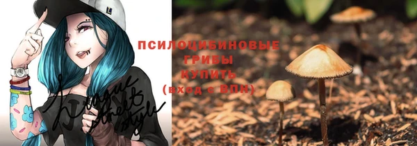 кокс Арсеньев