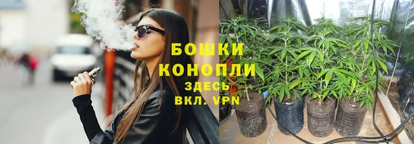 кокс Арсеньев