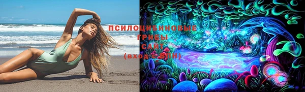 круглые Гусиноозёрск